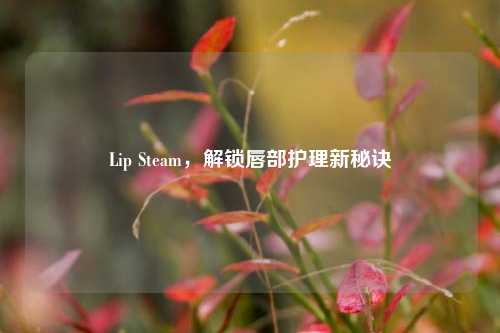 Lip Steam，解锁唇部护理新秘诀