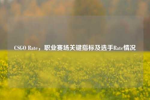 CSGO Rate,职业赛场关键指标及选手Rate情况