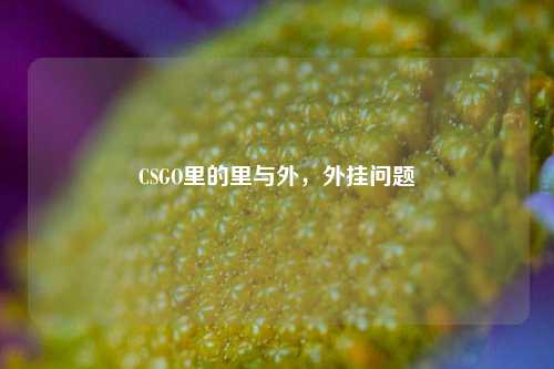 CSGO里的里与外,外挂问题