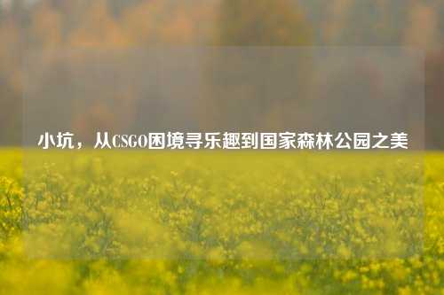 小坑,从CSGO困境寻乐趣到国家森林公园之美