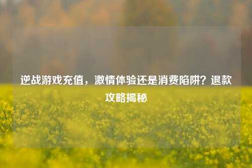逆战游戏充值，激情体验还是消费陷阱？退款攻略揭秘
