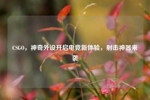 CSGO,神奇外设开启电竞新体验,射击神器来袭