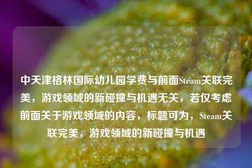 中天津格林国际幼儿园学费与前面Steam关联完美,游戏领域的新碰撞与机遇无关,若仅考虑前面关于游戏领域的内容,标题可为,Steam关联完美,游戏领域的新碰撞与机遇