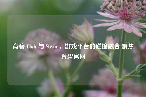 育碧 Club 与 Steam，游戏平台的碰撞融合 聚焦育碧官网