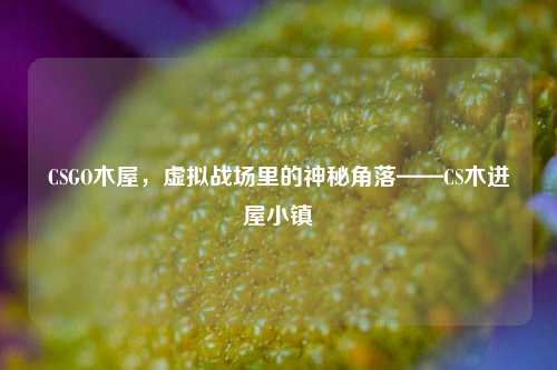 CSGO木屋,虚拟战场里的神秘角落——CS木进屋小镇