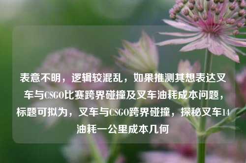 表意不明，逻辑较混乱，如果推测其想表达叉车与CSGO比赛跨界碰撞及叉车油耗成本问题，标题可拟为，叉车与CSGO跨界碰撞，探秘叉车14油耗一公里成本几何