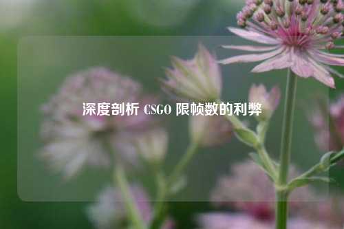 深度剖析 CSGO 限帧数的利弊