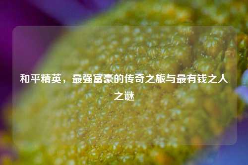 和平精英,最强富豪的传奇之旅与最有钱之人之谜
