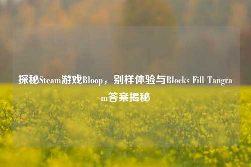 探秘Steam游戏Bloop,别样体验与Blocks Fill Tangram答案揭秘