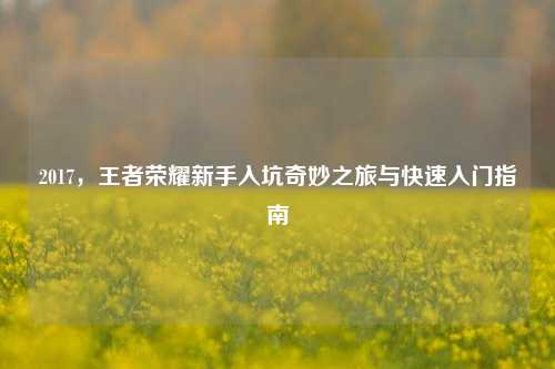 2017,王者荣耀新手入坑奇妙之旅与快速入门指南