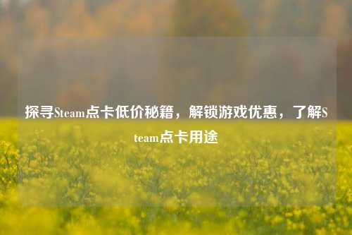 探寻Steam点卡低价秘籍,解锁游戏优惠,了解Steam点卡用途