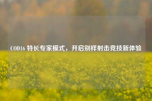 COD16 特长专家模式,开启别样射击竞技新体验