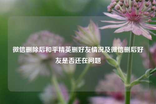 微信删除后和平精英删好友情况及微信删后好友是否还在问题