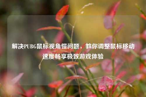 解决PUBG鼠标视角慢问题,教你调整鼠标移动速度畅享极致游戏体验