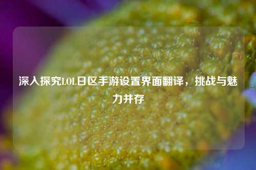 深入探究LOL日区手游设置界面翻译,挑战与魅力并存