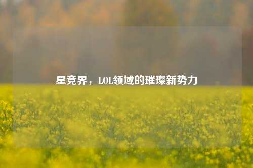 星竞界,LOL领域的璀璨新势力