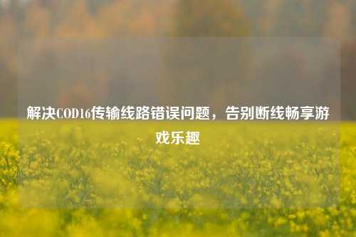 解决COD16传输线路错误问题,告别断线畅享游戏乐趣