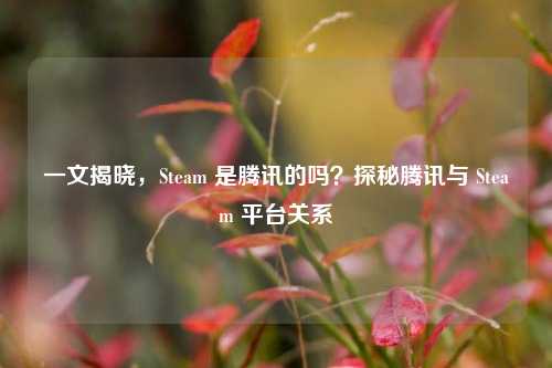 一文揭晓,Steam 是腾讯的吗?探秘腾讯与 Steam 平台关系
