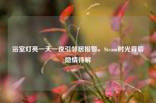 浴室灯亮一天一夜引邻居报警,Steam时光背后隐情待解