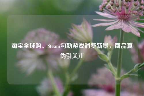 淘宝全球购、Steam勾勒游戏消费新景,商品真伪引关注