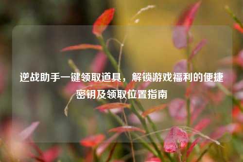逆战助手一键领取道具,解锁游戏福利的便捷密钥及领取位置指南