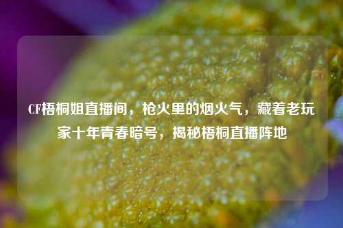 CF梧桐姐直播间，枪火里的烟火气，藏着老玩家十年青春暗号，揭秘梧桐直播阵地