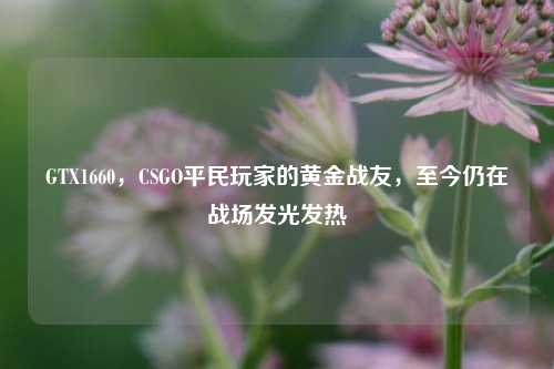 GTX1660，CSGO平民玩家的黄金战友，至今仍在战场发光发热