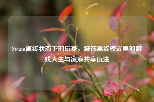 Steam离线状态下的玩家,藏在离线模式里的游戏人生与家庭共享玩法
