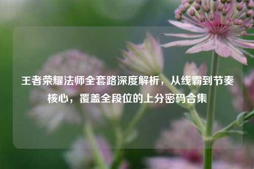 王者荣耀法师全套路深度解析，从线霸到节奏核心，覆盖全段位的上分密码合集