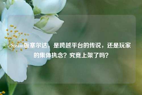 Steam版塞尔达，是跨越平台的传说，还是玩家的集体执念？究竟上架了吗？