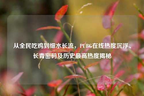 从全民吃鸡到细水长流，PUBG在线热度沉浮、长青密码及历史最高热度揭秘