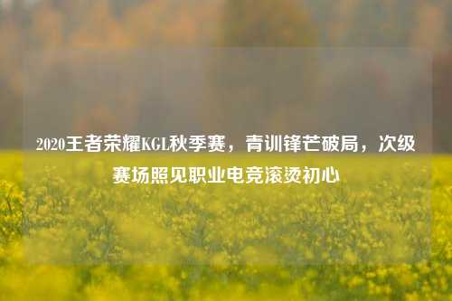 2020王者荣耀KGL秋季赛,青训锋芒破局,次级赛场照见职业电竞滚烫初心