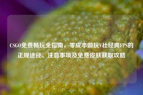 CSGO免费畅玩全指南，零成本游玩V社经典FPS的正规途径、注意事项及免费皮肤获取攻略