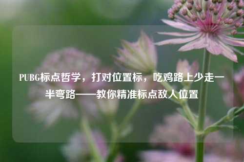 PUBG标点哲学,打对位置标,吃鸡路上少走一半弯路——教你精准标点敌人位置