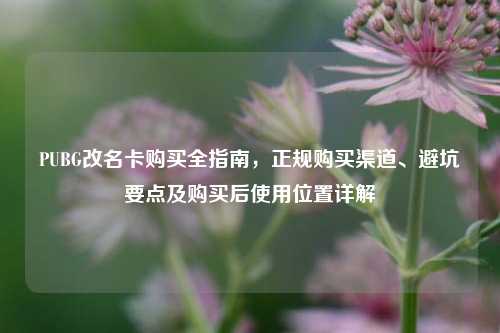 PUBG改名卡购买全指南，正规购买渠道、避坑要点及购买后使用位置详解