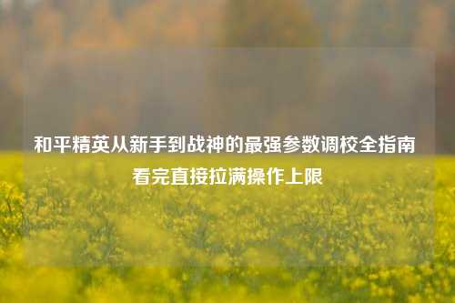 和平精英从新手到战神的最强参数调校全指南 看完直接拉满操作上限