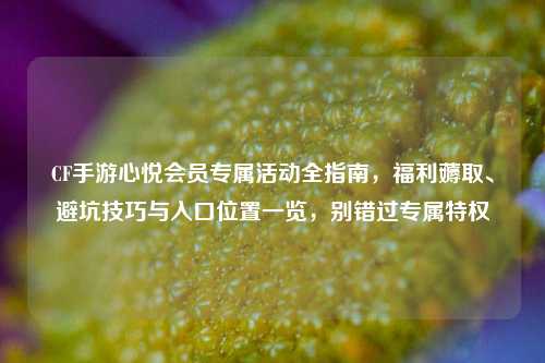 CF手游心悦会员专属活动全指南,福利薅取、避坑技巧与入口位置一览,别错过专属特权