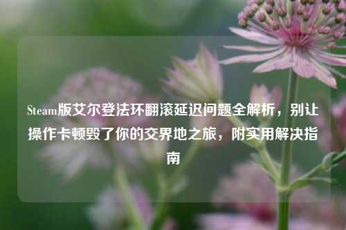 Steam版艾尔登法环翻滚延迟问题全解析，别让操作卡顿毁了你的交界地之旅，附实用解决指南