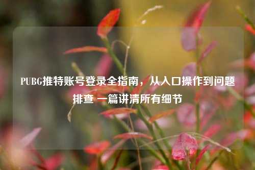 PUBG推特账号登录全指南，从入口操作到问题排查 一篇讲清所有细节