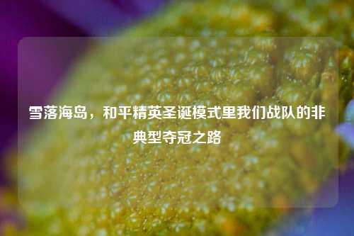 雪落海岛,和平精英圣诞模式里我们战队的非典型夺冠之路