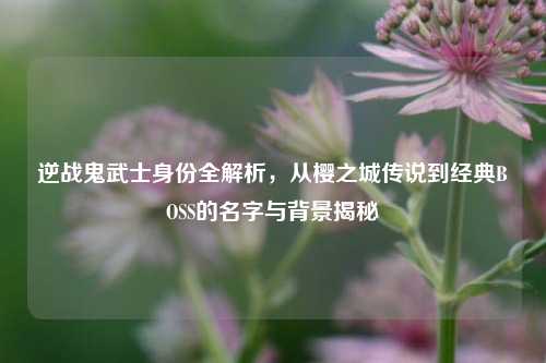 逆战鬼武士身份全解析,从樱之城传说到经典BOSS的名字与背景揭秘