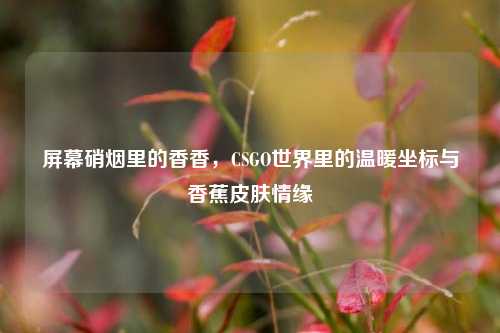 屏幕硝烟里的香香,CSGO世界里的温暖坐标与香蕉皮肤情缘