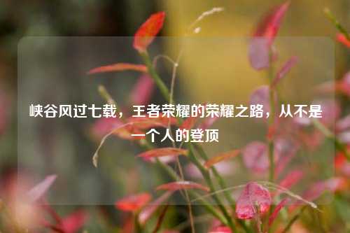 峡谷风过七载,王者荣耀的荣耀之路,从不是一个人的登顶