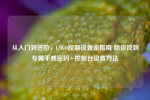 从入门到进阶,CSGO控制设置全指南 助你找到专属手感密码+控制台设置方法