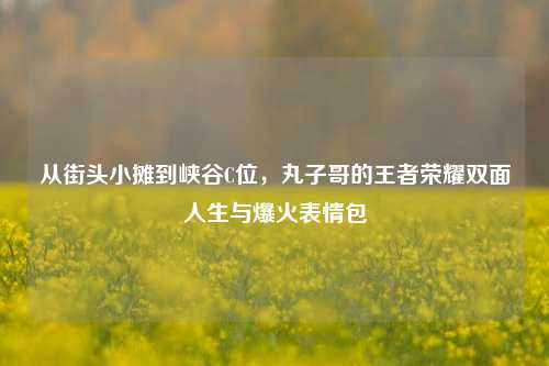 从街头小摊到峡谷C位，丸子哥的王者荣耀双面人生与爆火表情包