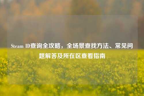 Steam ID查询全攻略,全场景查找方法、常见问题解答及所在区查看指南