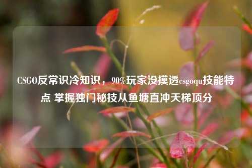 CSGO反常识冷知识,90%玩家没摸透csgoqu技能特点 掌握独门秘技从鱼塘直冲天梯顶分