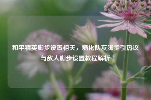 和平精英脚步设置相关,弱化队友脚步引热议与敌人脚步设置教程解析