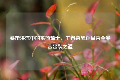 暴击洪流中的蔷薇骑士，王者荣耀孙尚香全暴击出装之道