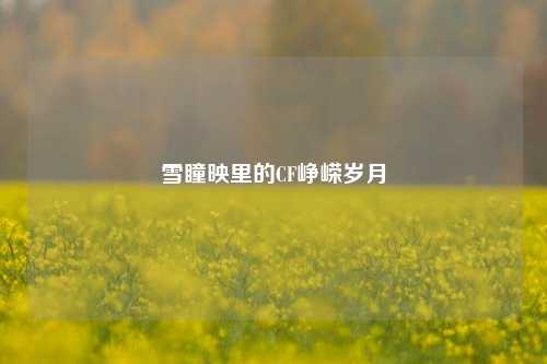 雪瞳映里的CF峥嵘岁月
